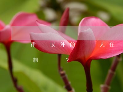 律師以外的辯護人在審查起訴階段有什么限制？